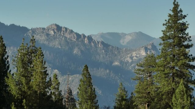 Beautiful view of Sequoia Kings Canyon National Park in California