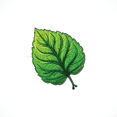 Leaf Vector Leaf Logo design