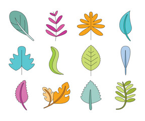 spring leaf illustration set