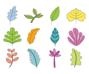 spring leaf illustration set