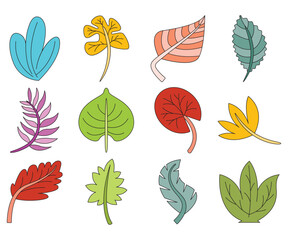 colorful leaf vector set illustration