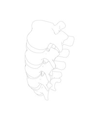 Vector illustration spine diagnostic symbol, design, sign. Vector icon. Line design. Spine bones and structure. Medicine and anatomy. Anatomical structure of man. Concept illustration..