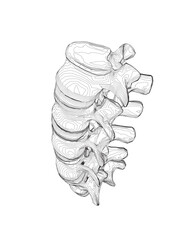 Vector illustration spine diagnostic symbol, design, sign. Vector icon. Line design. Spine bones and structure. Medicine and anatomy. Anatomical structure of man. Concept illustration..