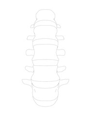 Vector illustration spine diagnostic symbol, design, sign. Vector icon. Line design. Spine bones and structure. Medicine and anatomy. Anatomical structure of man. Concept illustration..