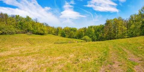 carpathian countryside with forested hills. wide grassy glade surrounded by beech forest. antalovecka poljana, ukraine on a sunny day with fluffy clouds in summer