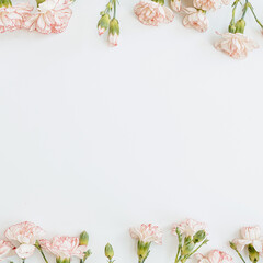 Frame made of pink carnation flowers on white background with blank copy space. Elegant postcard,...