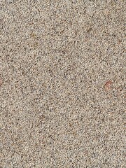 Vertical closeup of quartz sand epoxy decorative floor covering with white and golden particles