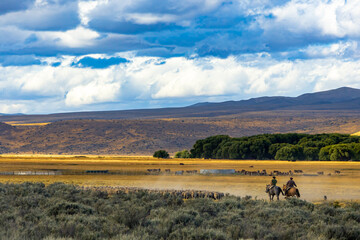 Fototapeta na wymiar Gauchos and herd of sheep in a rural scenic panorama landscape