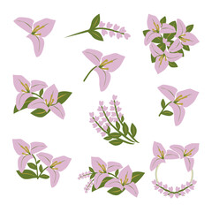 Purple Bugenvil or Bougainville Flower collection set. Flower arrangement, bouquet flowers ornamental, vector illustration. This plant also known as Bunga Kembang Kertas in Indonesia.
