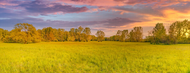 Tranquil nature landscape panorama. Sunset sky clouds closeup fields fresh meadow. Idyllic spring summer sunny dawn in field. Beautiful natural panoramic colorful countryside. Forest sun rays, bright