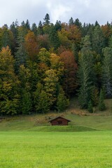 Beautiful view of fall foliage trees in the field