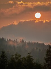 Vertical shot of the golden sun shining over the shadowy forest in the cloudy sky during the sunset