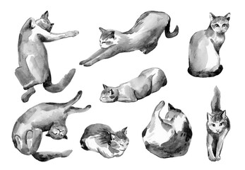 Set Black watercolor cats. Watercolor illustration for Halloween.