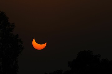 Beautiful view of a partial solar eclipse - obrazy, fototapety, plakaty