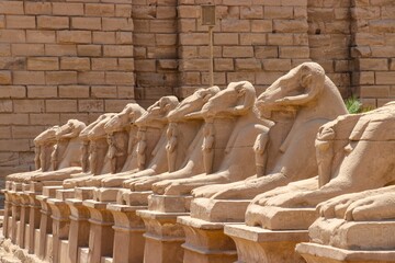 Of Sphinxes or The King's Festivities Road in Luxor Temple, Egypt