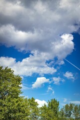 Vertical shot of a beautiful blue sky with clouds over the trees.
