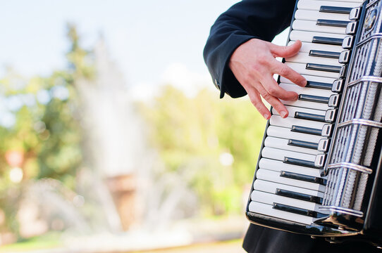 Accordion. Keys. Male hand on the accordion.