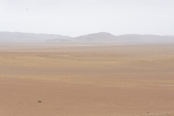 Fototapeta na wymiar Desert landscape in Paracas, Peru