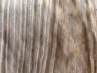 Fototapeta premium wood texture background