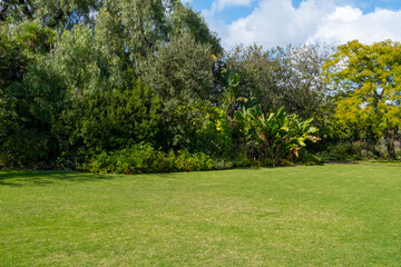 Background texture of a vacant green grass lawn against a variety of plants and trees in a formal garden. Copy space for your design. 