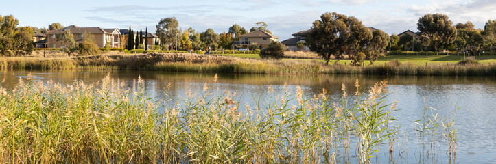 Panorama view of wetlands with some residential houses at the background. Panoramic beautiful...