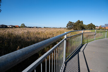 Pedestrian boardwalk near wetlands with feather reed grass, some residential suburban houses in the distance. Point Cook VIC Australia. Concept of the beautiful environment in Australian neighborhood