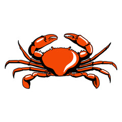 illustration of crab