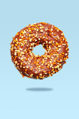 Donut with chocolate icing and nuts.