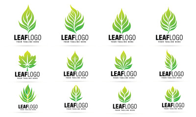 Leaf Logo Design Pack Minimal Modern Leaf Logo Set