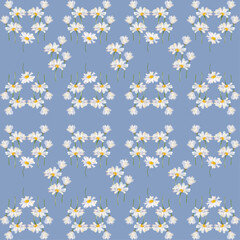 Seamless pattern with daisy flowers and blue background 