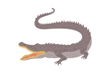 Australian crocodile, hand drawn flat vector illustration isolated on white background.