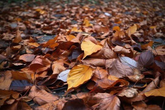 close-up of a pile of fallen leaves on the ground, created with generative ai
