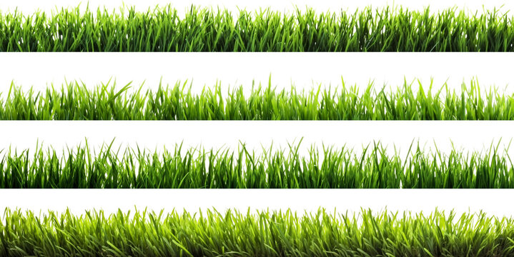 file of green grass background, isolated on transparent background, Generative AI