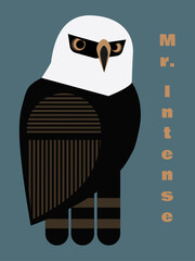 Hawk-eagle Mr. Intense blue background