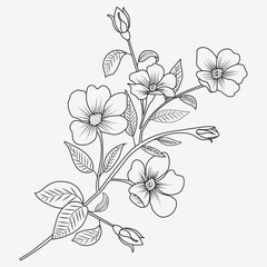 Abstract vector flowers coloring page
