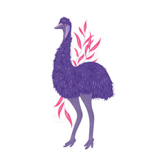Hand drawn emu ostrich with plants, flat vector illustration isolated on white background.