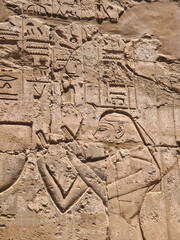 Ancient egyptian hieroglyphics