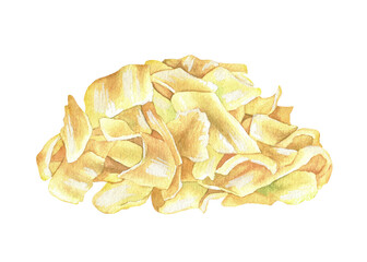 Pickled Chinese cabbage salad. Watercolor illustration. Asian food side dish of fermented vegetables.Traditional Japanese cuisine.Clip art isolated on a white background. Hand drawn canned sauerkraut