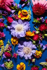 Zelfklevend Fotobehang Pattern of different summer blossom flowers over deep blue background. Floral texture background © Nik_Merkulov