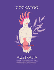 Australia travel advertising banner or postcard with Cockatoo bird, flat vector.