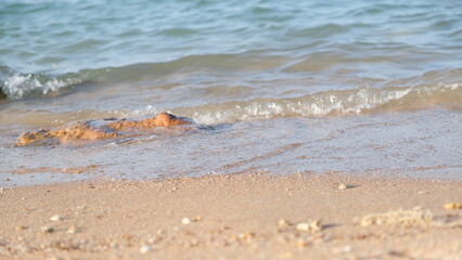 Serenity Unveiled: A Mesmerizing Sunset at Sea with Graceful Boats Amidst the Golden Hues, an Enchanting Moment of Tranquility and Nautical Beauty in Hurghada , El gouna , Egypt 