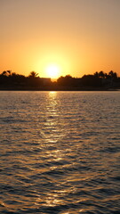 Fototapeta na wymiar the View of the Golden Sunset Over Seaside Homes and Silhouetted Palm Trees: Serene Beachscape landscape in El Gouna, Egypt
