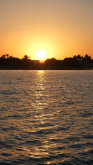 Fototapeta na wymiar the View of the Golden Sunset Over Seaside Homes and Silhouetted Palm Trees: Serene Beachscape landscape in El Gouna, Egypt