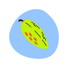 Acid fruit papaya on bright spot. Hand drawn vector