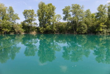 arbres se reflétant dans de l'eau turquoise au printemps