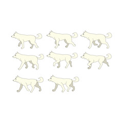 Vector illustration of a set of contour dogs on a white background