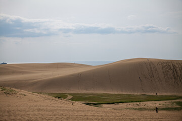 鳥取砂丘の砂漠の風景