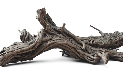 Twisted driftwood isolated on transparent background. Generative AI - obrazy, fototapety, plakaty