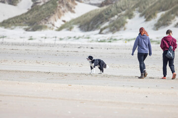 Blåvand Beach - The North Sea is something very special all year round!. Blåvand is a town in...