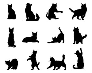 Set of cat silhouettes on isolated background